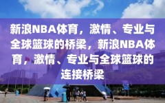 新浪NBA体育，激情、专业与全球篮球的桥梁，新浪NBA体育，激情、专业与全球篮球的连接桥梁