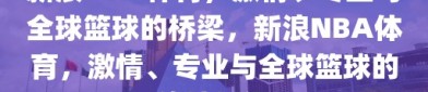 新浪NBA体育，激情、专业与全球篮球的桥梁，新浪NBA体育，激情、专业与全球篮球的连接桥梁