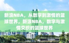 新浪NBA，从数字到激情的篮球世界，新浪NBA，数字与激情交织的篮球世界