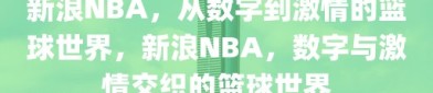 新浪NBA，从数字到激情的篮球世界，新浪NBA，数字与激情交织的篮球世界