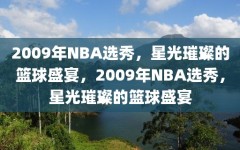 2009年NBA选秀，星光璀璨的篮球盛宴，2009年NBA选秀，星光璀璨的篮球盛宴