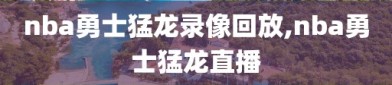 nba勇士猛龙录像回放,nba勇士猛龙直播