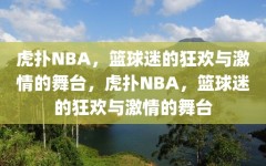 虎扑NBA，篮球迷的狂欢与激情的舞台，虎扑NBA，篮球迷的狂欢与激情的舞台