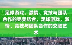 足球游戏，激情、竞技与团队合作的完美结合，足球游戏，激情、竞技与团队合作的交融艺术