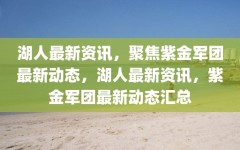 湖人最新资讯，聚焦紫金军团最新动态，湖人最新资讯，紫金军团最新动态汇总