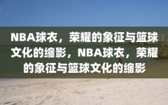 NBA球衣，荣耀的象征与篮球文化的缩影，NBA球衣，荣耀的象征与篮球文化的缩影