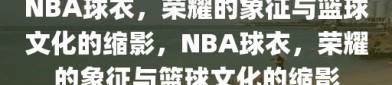 NBA球衣，荣耀的象征与篮球文化的缩影，NBA球衣，荣耀的象征与篮球文化的缩影