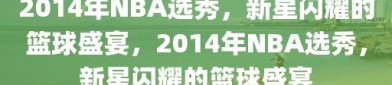 2014年NBA选秀，新星闪耀的篮球盛宴，2014年NBA选秀，新星闪耀的篮球盛宴