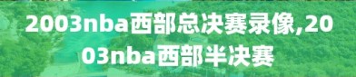 2003nba西部总决赛录像,2003nba西部半决赛