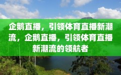 企鹅直播，引领体育直播新潮流，企鹅直播，引领体育直播新潮流的领航者