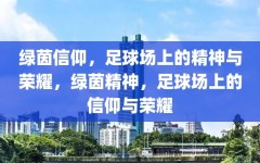 绿茵信仰，足球场上的精神与荣耀，绿茵精神，足球场上的信仰与荣耀