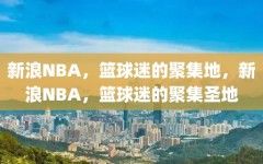 新浪NBA，篮球迷的聚集地，新浪NBA，篮球迷的聚集圣地