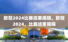 欧冠2024比赛结果揭晓，欧冠2024，比赛结果揭晓