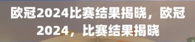 欧冠2024比赛结果揭晓，欧冠2024，比赛结果揭晓