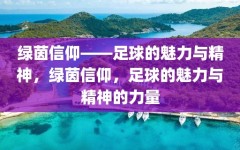 绿茵信仰——足球的魅力与精神，绿茵信仰，足球的魅力与精神的力量