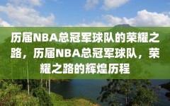 历届NBA总冠军球队的荣耀之路，历届NBA总冠军球队，荣耀之路的辉煌历程