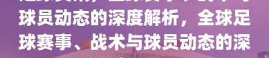 足球资讯，全球赛事、战术与球员动态的深度解析，全球足球赛事、战术与球员动态的深度解析与资讯