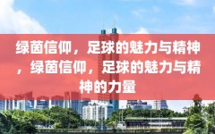 绿茵信仰，足球的魅力与精神，绿茵信仰，足球的魅力与精神的力量