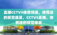 直播CCTV5体育频道，体育迷的视觉盛宴，CCTV5直播，体育迷的视觉盛宴